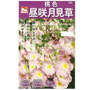 月草様確認用 月見草 種 【 桃色昼咲月見草 】 小袋 （ 月見草の種 ） | 農業屋.com