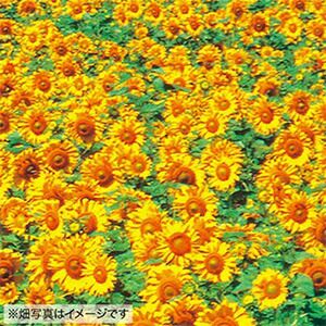 000000020080-01.jpg?size=l&w=