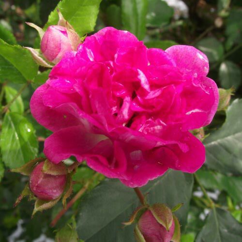 000000020170-01.jpg?size=l&w=