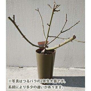 000000020237-03.jpg?size=l&w=