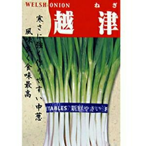 ネギ 種 【 越津中葱 】 50ml ( ネギの種 ) | 農業屋.com