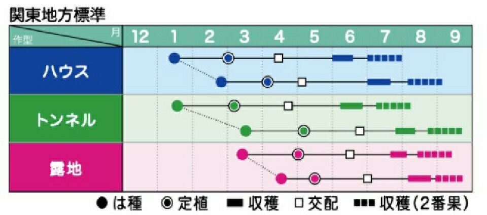 スイカ 種 【 FRマダーボール 】 小袋（8粒） ( スイカの種 ) | 農業屋.com