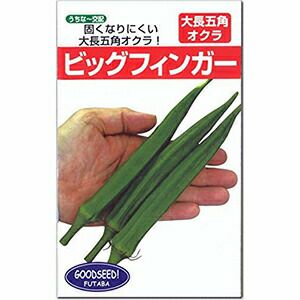 オクラ 種 【 ビッグフィンガー 】 1dl ( オクラの種 ) | 農業屋.com