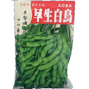 エダマメ エダマメ 種 【 白鳥改良2号 】 1L ( エダマメの種 ) | 農業屋.com