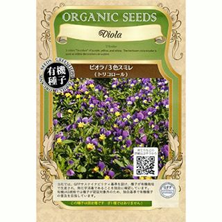 さつまいも苗 【 栗かぐや 通常苗 】10本 【くりかぐや 予約販売