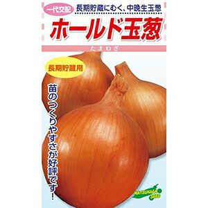 玉ねぎ 種 【 ホールド 】 小袋 ( 玉ねぎの種 ) | 農業屋.com