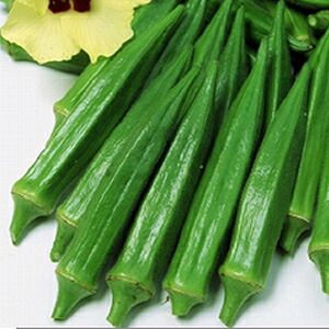オクラ 種 【 ブルースカイZ 】 1dl ( オクラの種 ) | 農業屋.com