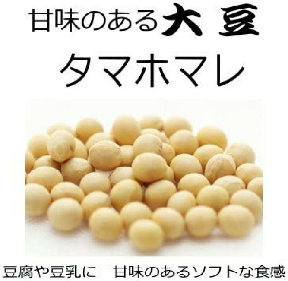 大豆 種 【 タマホマレ（中晩生） 】 1L ( 大豆の種 ) | 農業屋.com