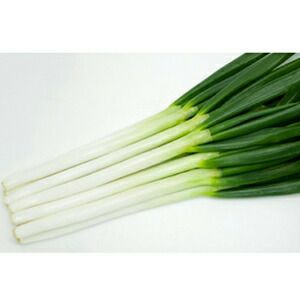 000000020828-01.jpg?size=l&w=