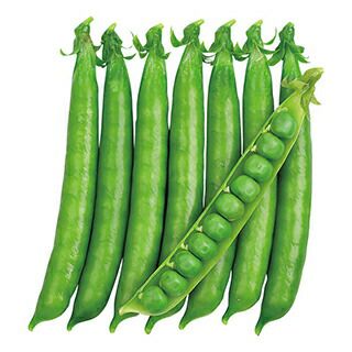 エンドウ | 農業屋.com