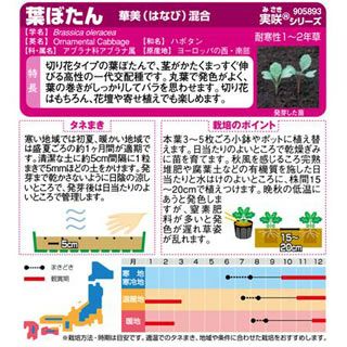 葉牡丹 種 【 華美混合 】 実咲小袋 