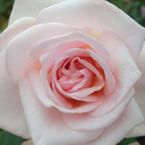 000000021253-01.jpg?size=l&w=