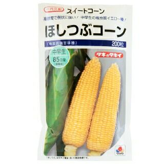 トウモロコシ 種 【ほしつぶコーン】 200粒（ 種 野菜 野菜種子 野菜種