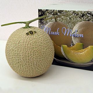 000000021758-01.jpg?size=l&w=