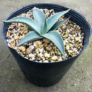 000000021769-01.jpg?size=l&w=