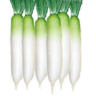大根 種 【 青首宮重大根 】 小袋 ( 大根の種 ) | 農業屋.com