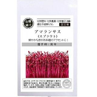 アスパラガス 素掘り株 苗 スーパージャンボ 2Lサイズ | 農業屋.com