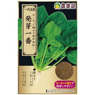 ホウレンソウ 種 【 発芽一番 】 ネーキッド8ml（約780粒
