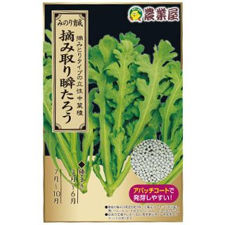 バラ苗(予約販売) 【デンティベス】 2年大株苗 4号鉢 （ハイブリッド