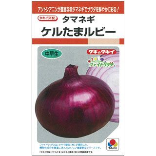 玉ねぎ 種 【 赤玉ねぎ ケルたまルビー 】 1.8ml（約190粒