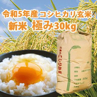 三重県産 コシヒカリ 玄米 送料無料】【 令和5年産 】 三重県産 コシヒカリ 玄米 良質米「極み