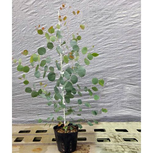 000000022189-01.jpg?size=l&w=