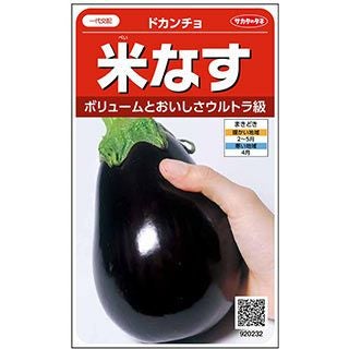 ナス 種 【 米なすドカンチョ 】 小袋 ( 野菜の種 )