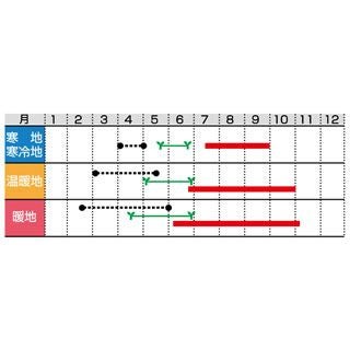 ナス 種 【 米なすドカンチョ 】 小袋 ( 野菜の種 )