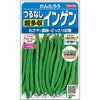 つるなしインゲン 種 【 れんたろう 】 実咲小袋 (インゲンの種 )