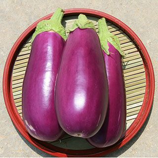 000000022473-01.jpg?size=l&w=