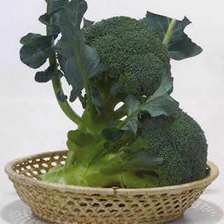 【匿名発送】大人気！ブロッコリー種子 （アーサー）5000粒 000000022494-01.jpg?size=l&w=