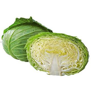 キャベツ 種 【 F1翠緑 】 小袋（1ml） ( キャベツの種 ) | 農業屋.com