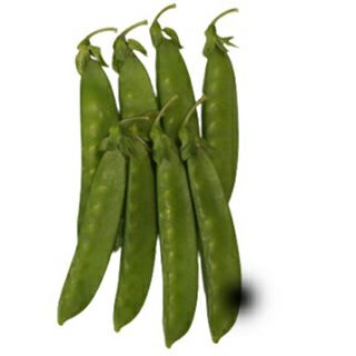 きぬさやエンドウ | 農業屋.com