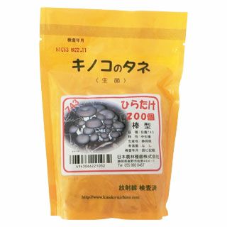 きのこ栽培 【 ひらたけ（しめじ）種菌 種駒 200入り 】[ しめじ