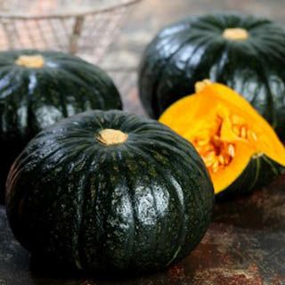カボチャ 種 【 ブラックのジョー 】 500粒 ( カボチャの種 ) | 農業屋.com