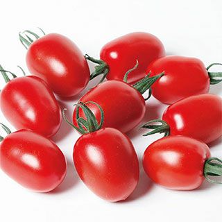 トマト 種 【 おうち野菜 ミニトマト とってもアイコ 】 小袋 ( トマトの種 )