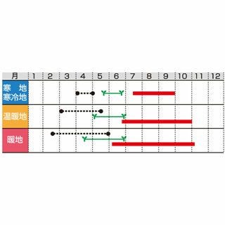 ナス 種 【 おうち野菜　くろぷり 】 実咲小袋 ( なす 茄子の種 )