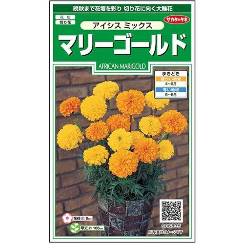 アフリカンマリーゴールド 種 【 アイシス ミックス 】 実咲小袋