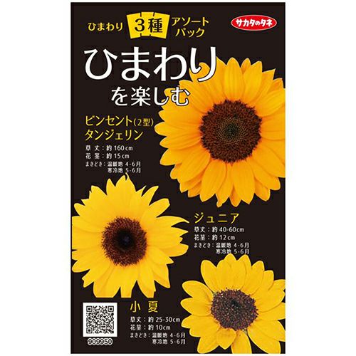 ひまわり 種 【 ひまわりを楽しむ 】 3種アソート小袋 （ ひまわりの