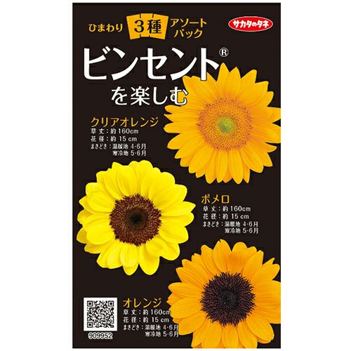 000000022698-01.jpg?size=l&w=