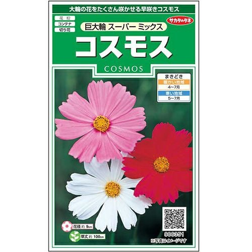 コスモス 種 【 巨大輪 スーパーミックス 】 実咲小袋 （ コスモスの種