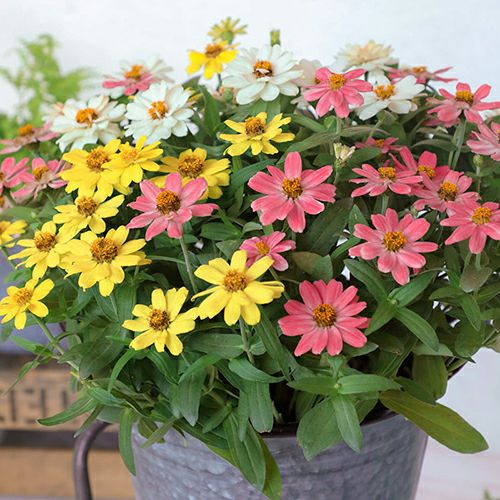 000000022754-01.jpg?size=l&w=