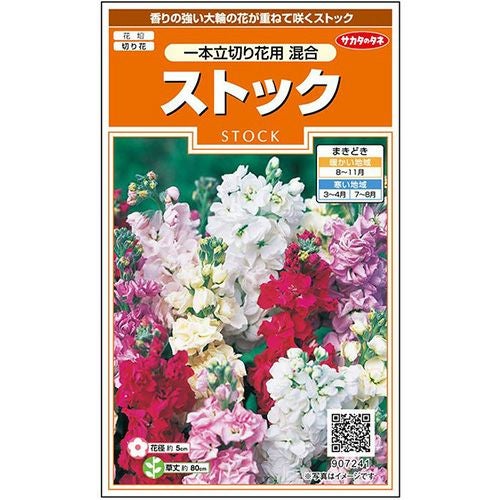 ストック 種 【 一本立ち切り花用 混合 】 実咲小袋 （ ストックの種