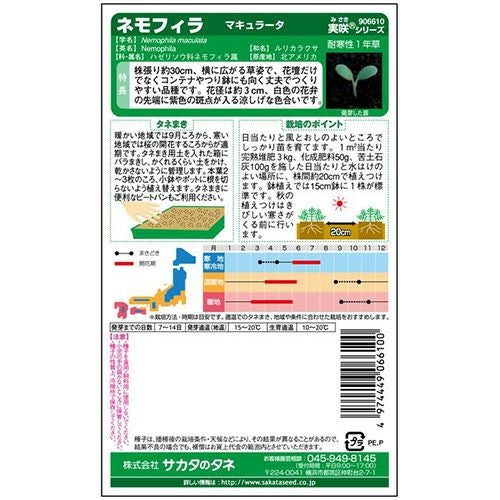 ネモフィラ 種 【 ネモフィラ マキュラータ 】 実咲小袋 （ ネモフィラ