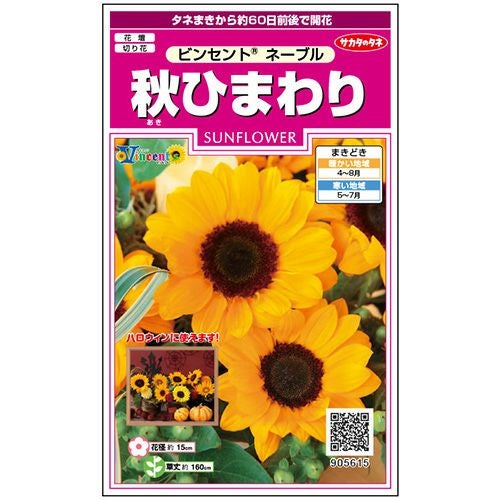 ひまわり 種 【 秋ひまわり ビンセント ネーブル 】 実咲小袋