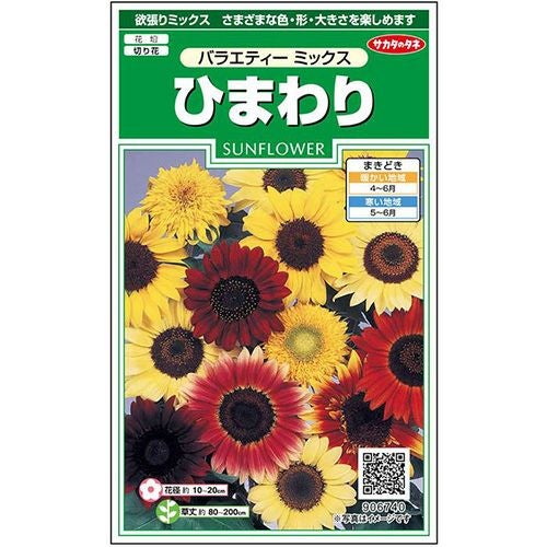 ひまわり 種 【 バラエティーミックス 】 実咲小袋 （ ひまわりの種