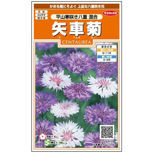 矢車草 種 【 平山寒咲き八重 混合 】 実咲小袋 （ 矢車草の種