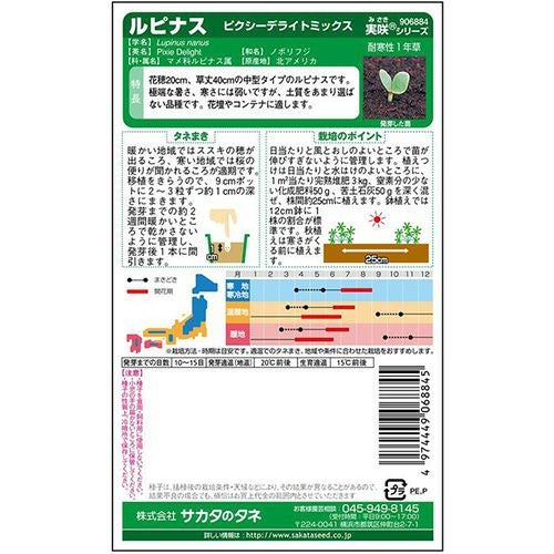 ルピナス 種 【 ピクシーデライト ミックス 】 実咲小袋 （ ルピナスの