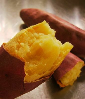 さつまいも苗 【 シルクスイート ウイルスフリー苗 】20本 【予...