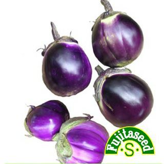 なす | 農業屋.com